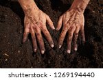 Small photo of Farmer man hands dirty on substratum of urban garden orchard