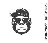 Monkey In Sunglasses And A Cap. ...
