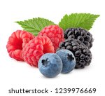 Wild Berries Mix  Raspberry ...