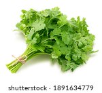 Coriander leaves isolated on white background, clipping path, full depth of field