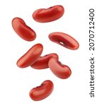 Falling Red Kidney Bean ...