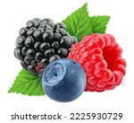 wild Berries mix, raspberry, blueberry, blackberry, isolated on white background, clipping path, full depth of field