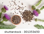 Seeds Of A Milk Thistle With...