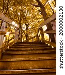 Small photo of A lavish brown staircase surrounded by golden trees. The perfect picture to describe a beautiful fall afternoon in nature.