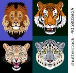set portraits wild predators  ... | Shutterstock .eps vector #405803629
