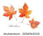 set of maple leaves watercolor... | Shutterstock .eps vector #2036963210