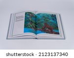 Small photo of Kelantan, Malaysia - February 14, 2022: Disney story books on white background,picture of a book being read