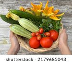 hand holding a basket of fresh vegetale