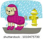 A Bundled Up Dog Shivers In The ...