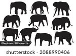 collection of animal elephant... | Shutterstock .eps vector #2088990406