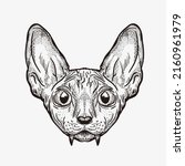 vampire sphynx cat hand drawing ... | Shutterstock .eps vector #2160961979