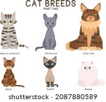 Vector Set Of Six Cat Breeds ...