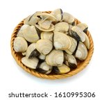 Small photo of Clam Turgid Venus isolated on white background