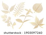 Set Leaf Veins Of Gold On White....