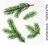 Fir Tree Branches Isolated On...