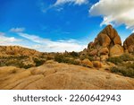 Desert landscape with eroded granite in the vicinity of Jumbo Rock, Joshua Tree National park, Mojave Desert, California, USA
