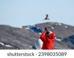Small photo of Obnoxious tourist harassing an Arctic Tern protecting it’s nest in Ny Alesund, Svalbard in the Arctic