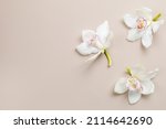 Pastel Background With White...