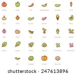 vector vegetables icon set | Shutterstock .eps vector #247613896