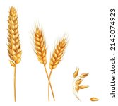 Illustration Of Wheat Vector...