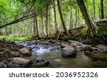 A Forest Stream In The...