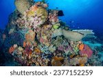 Small photo of Coral fishes in the underwater world. Underwater coral reef. Coral reef underwater. Underwater scene