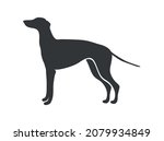 greyhound silhouette. english... | Shutterstock .eps vector #2079934849