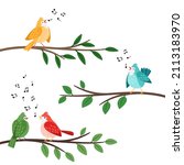 Bird Songs. Singing Birds...