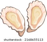 Cartoon oyster. Seafood reastaraunt raw snack icon isolated on white background