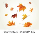Realistic falling leaves. Autumn forest maple leaf in september season, flying orange foliage from tree on ground transparent background isolated template exact vector illustration of fall autumn