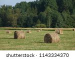 Round Hay Bales In Field With...