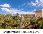 Altamira castle and palm grove of elche declared world heritage. Located in the Valencian Community, Alicante, Elche, Spain