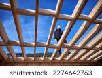 Male designer building wooden frame house. Bald man standing on construction site, inspecting quality of work on sunny day with blue sky on background.