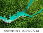 Aerial landscape of river junction in mangrove forest.