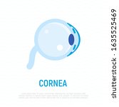 Cornea Flat Icon. Structure Of...