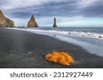 Small photo of Gorgeous landscape with basalt rock formations Troll Toes on Black beach Reynisfjara near the village of Vik. Location: Reynisfjara Beach, Vik Village, Iceland (Sudurland), Europe