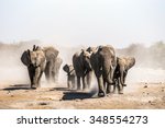 A Herd Of Elephants Approaches...