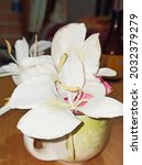 Small photo of White Ginger Lily (sontakka) Most likeable flower of Indian comunity