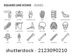 bones related  pixel perfect ... | Shutterstock .eps vector #2123090210