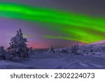  Northern lights (Aurora Borealis) in Khibiny Mountains, Murmansk region, Russia, Far North, Polar Night