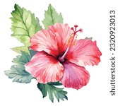 hand drawn red blossom hibiscus ...