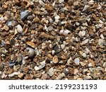 Mussel Shells  Sand And Gravel...