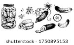pot of salt cucumbers and parts ... | Shutterstock .eps vector #1750895153