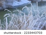 winter background, frozen grass, white snow and river, frosty day. Selective focus.