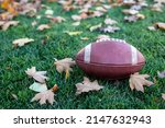 Fall season football background image. The perfect symbols of Autumn, fallen leaves and American Football. The ball sitting on the grass on a crisp fall day	