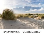 Sand dunes on the north sea coast