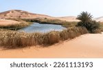 Small photo of Lakes in the Empty Quarter desert in Saudi Arabia