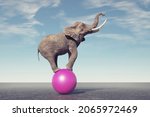 Elephant On A Sphere. Happiness ...