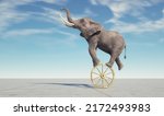  Elephant Dancing On A Wheel....