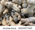 Small photo of White turmeric is believed to be able to treat various types of diseases. Some of the benefits of white turmeric include anti-pain, anti-allergic, stomach acid, antitoxin, and anti-inflammatory.